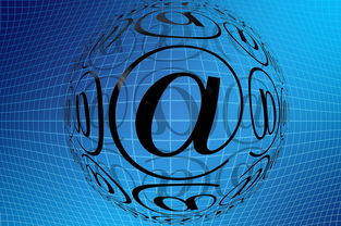 开云体育官网在线-中国篮球职业联赛青训体系创新发展模式分析，中国青年篮球队