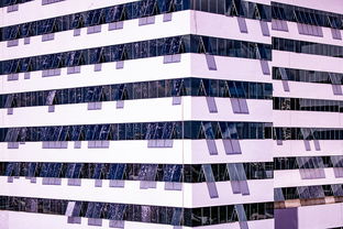 开云官方网-中国篮球职业联赛青训体系建设与优化，中国青年篮球队