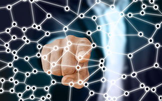 kaiyun开云体育-中国篮球职业联赛青训体系的结构优化，中国青年篮球联赛简称