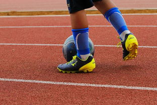 开云体育下载-中国篮球青少年篮球发展政策实施现状与改进建议,青少年篮球培训现状的调查与分析