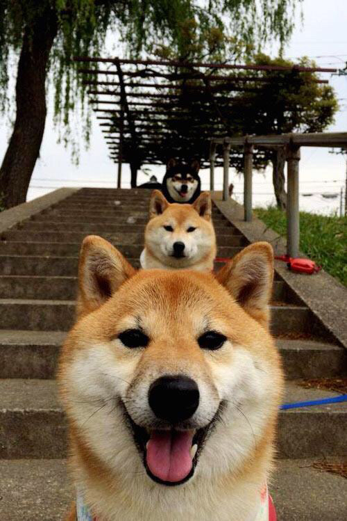 开云体育-新闻中心启动智能工厂建设,智能工厂建设内容