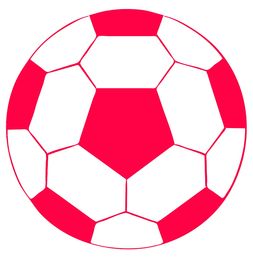 开云体育在线官网-青少年体育运动安全保障机制构建,青少年体育管理体制