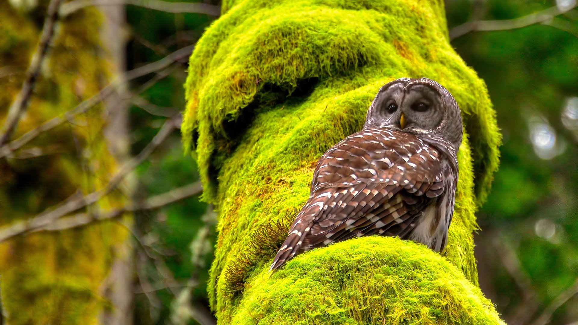 开云体育足球-今日焦点国足再战亚洲劲旅能否终结不胜魔咒,国足亚洲区预选赛比赛时间