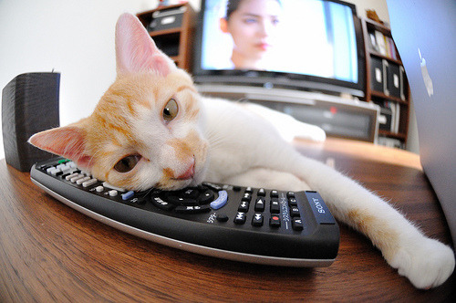 开云官方网-国际热身赛国足战败 球员状态起伏受质疑,国足热身赛安排