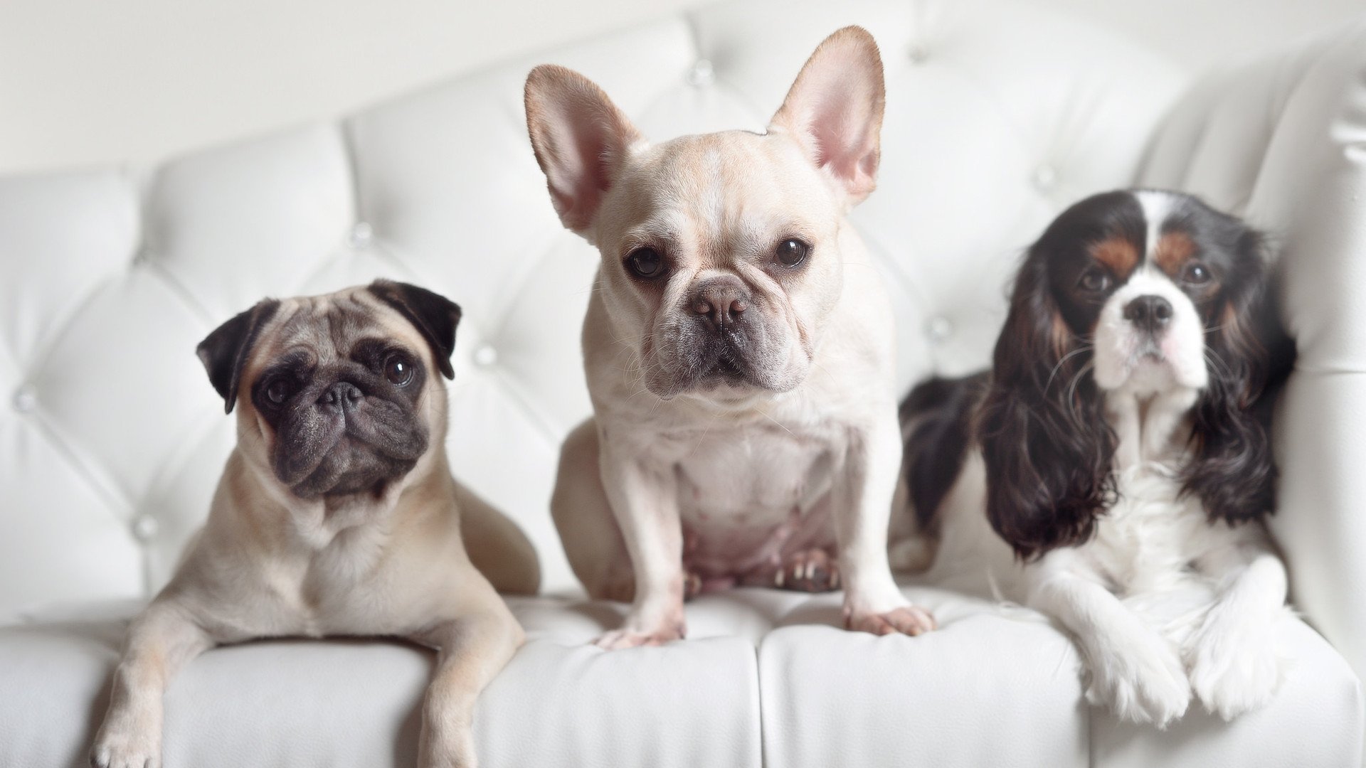 开云体育官网app-埃及队在2024年世界杯赛场上的坚韧表现，埃及进入世界杯激动的场面