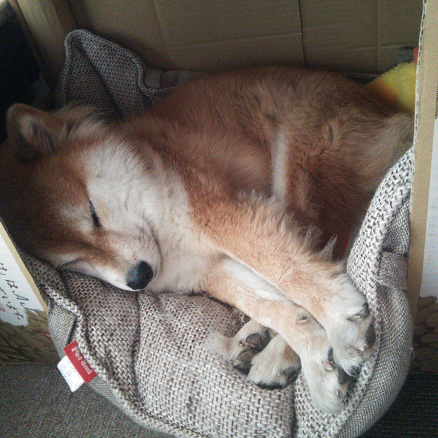 开云体育官网-美选手冲刺节奏爆发力惊人,冲刺型选手什么意思