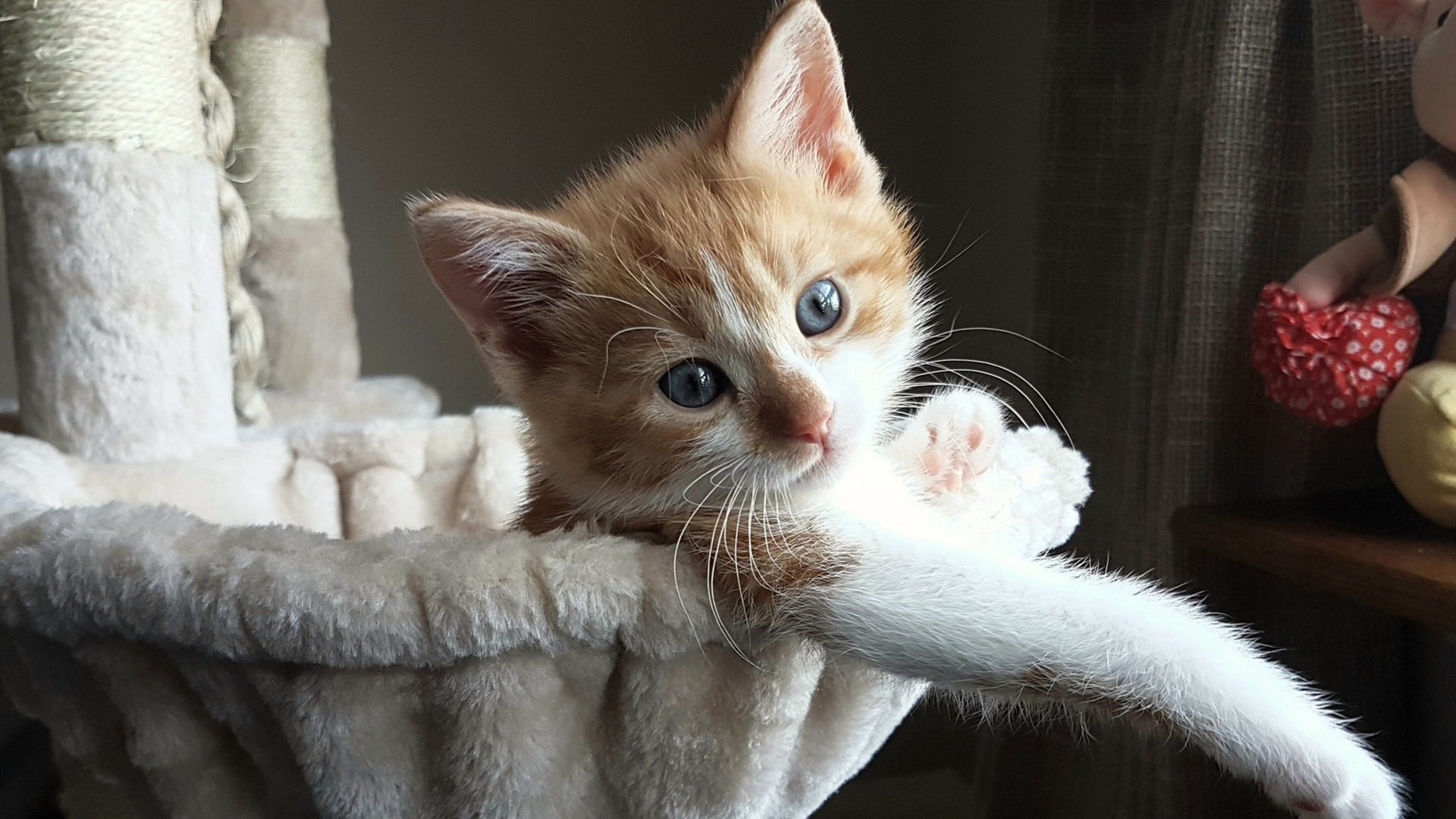 开yun官网-赫罗纳主帅排兵布阵取得阶段性成果，赫罗纳主帅排兵布阵取得阶段性成果吗