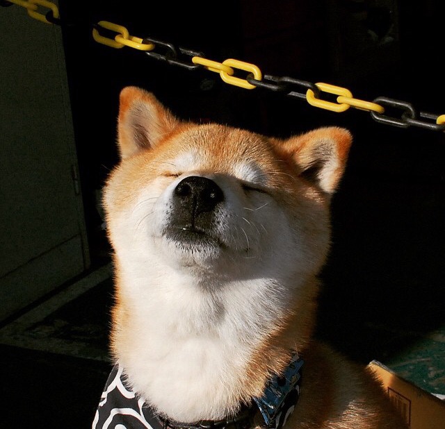 开yun官网-赫罗纳主帅排兵布阵取得阶段性成果,赫罗纳主帅排兵布阵取得阶段性成果吗