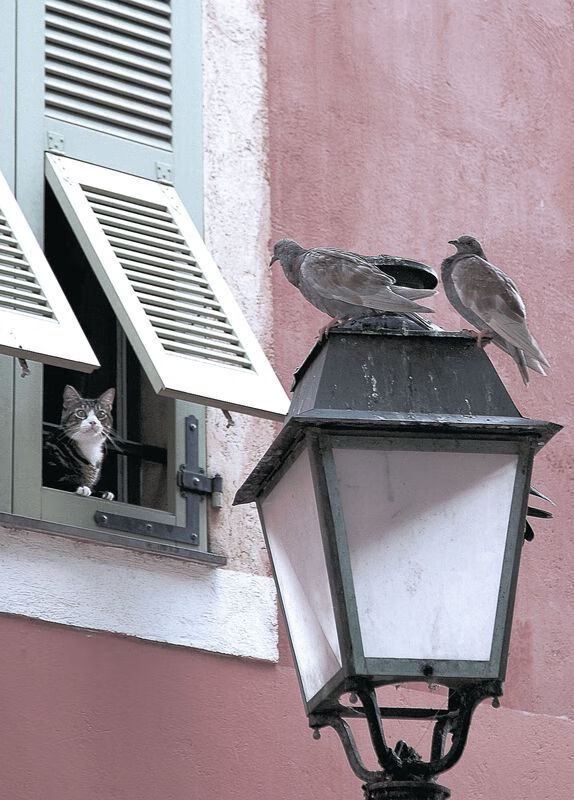 开云官方网-中国足球管理机制改革试图摆脱行政干预痕迹,足球改革20多年来,几位足球管理中心