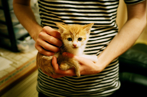 开云体育在线下载-德甲比赛进入白热化:坚韧不拔的精神风貌,德甲热身赛