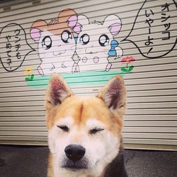 开云体育app在线-投资者关注英格兰男女队双重潜力，英格兰队伍分析