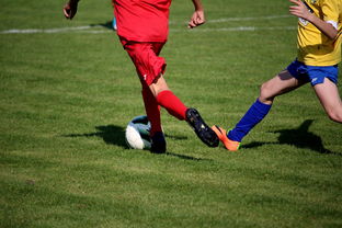 开云官网-男篮国家队专项安排外线射手训练增强火力输出,男篮外援