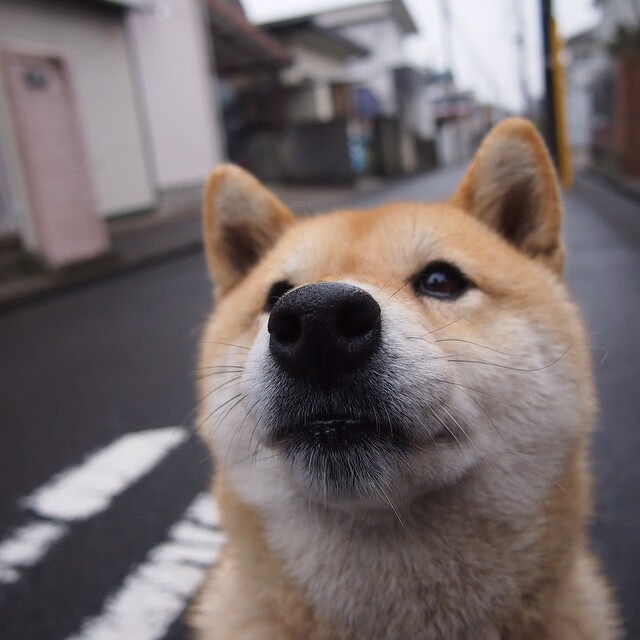 开云体育官网下载-Clark 冷静应对比赛压力